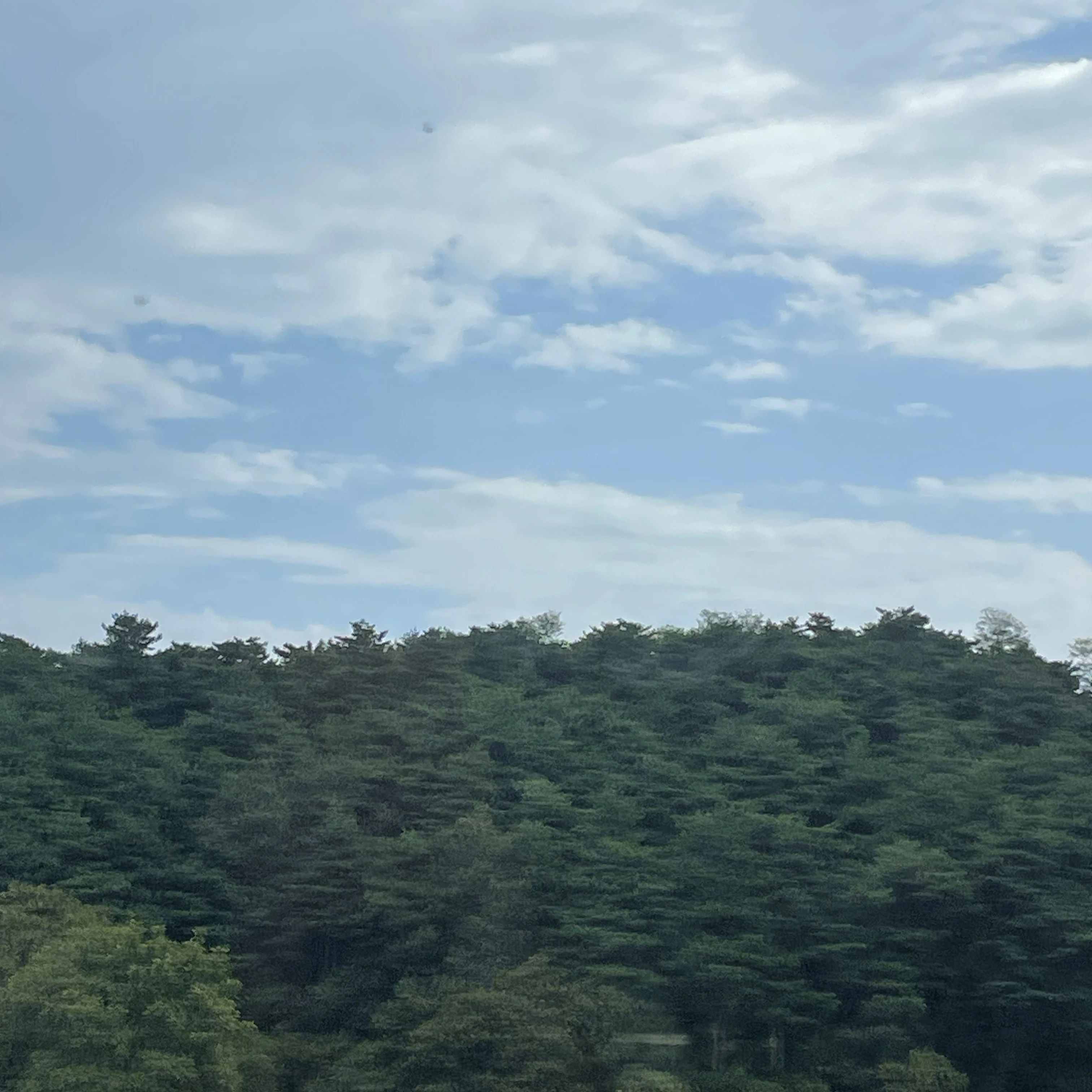 제미니