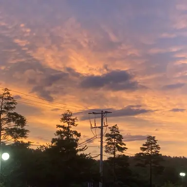 Profile image of 오뉴