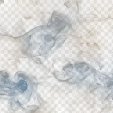 Profile image of Master Qingwei