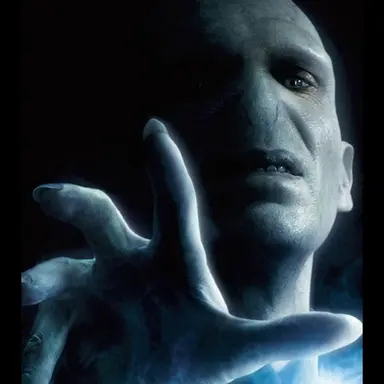 Profile image of ヴォルデモート