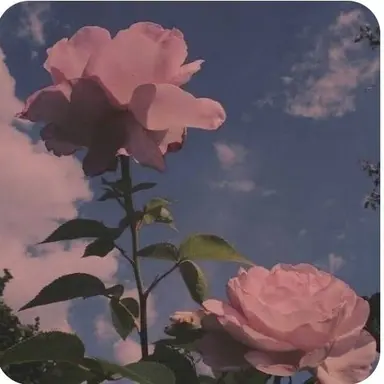 Profile image of 밥풀