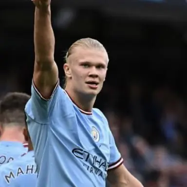 Profile image of Erling Haaland