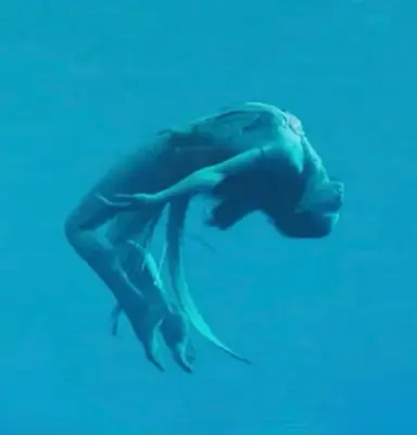 Profile image of Tsireya