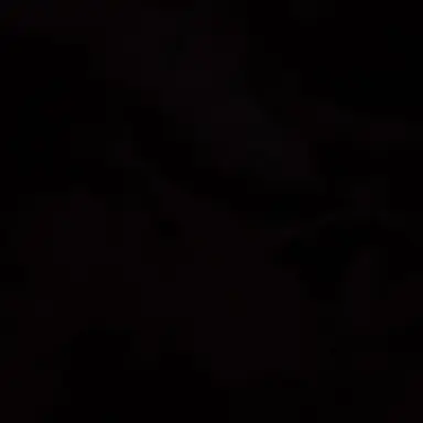 Profile image of 도하