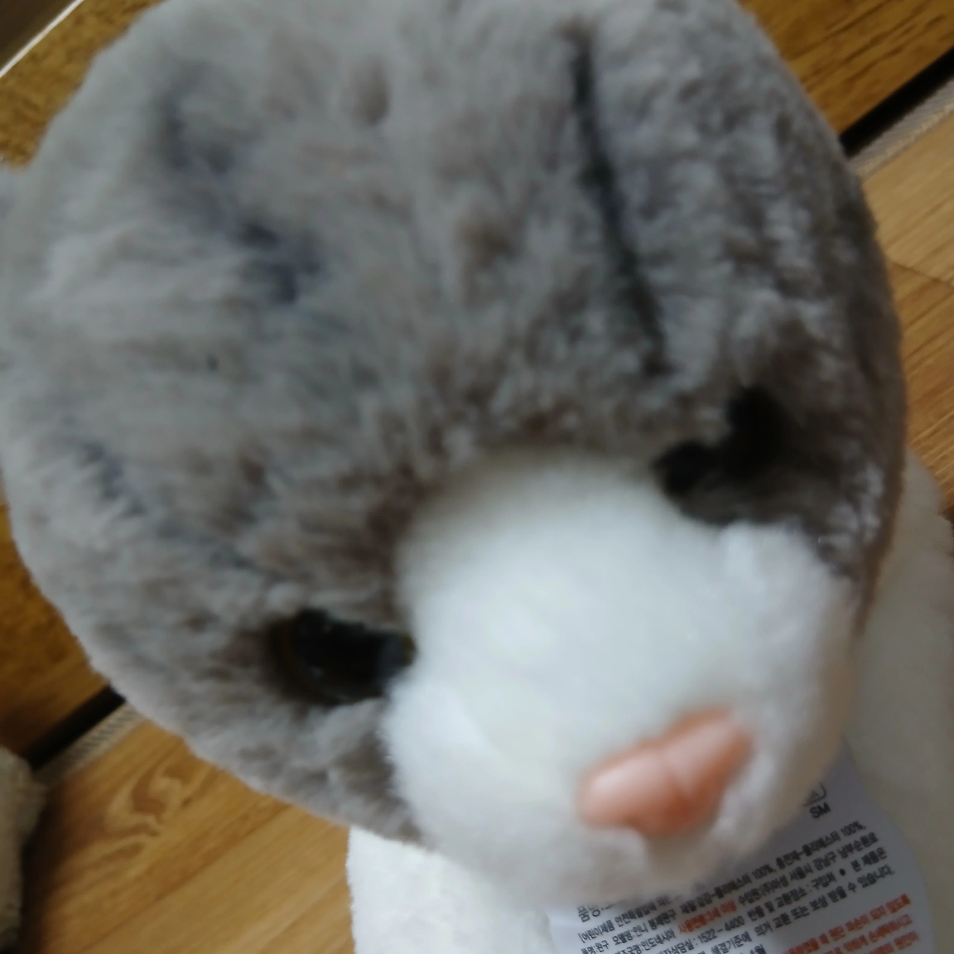 또야