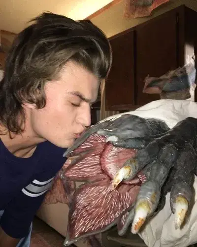 DaftlySpool1366의 Stranger things