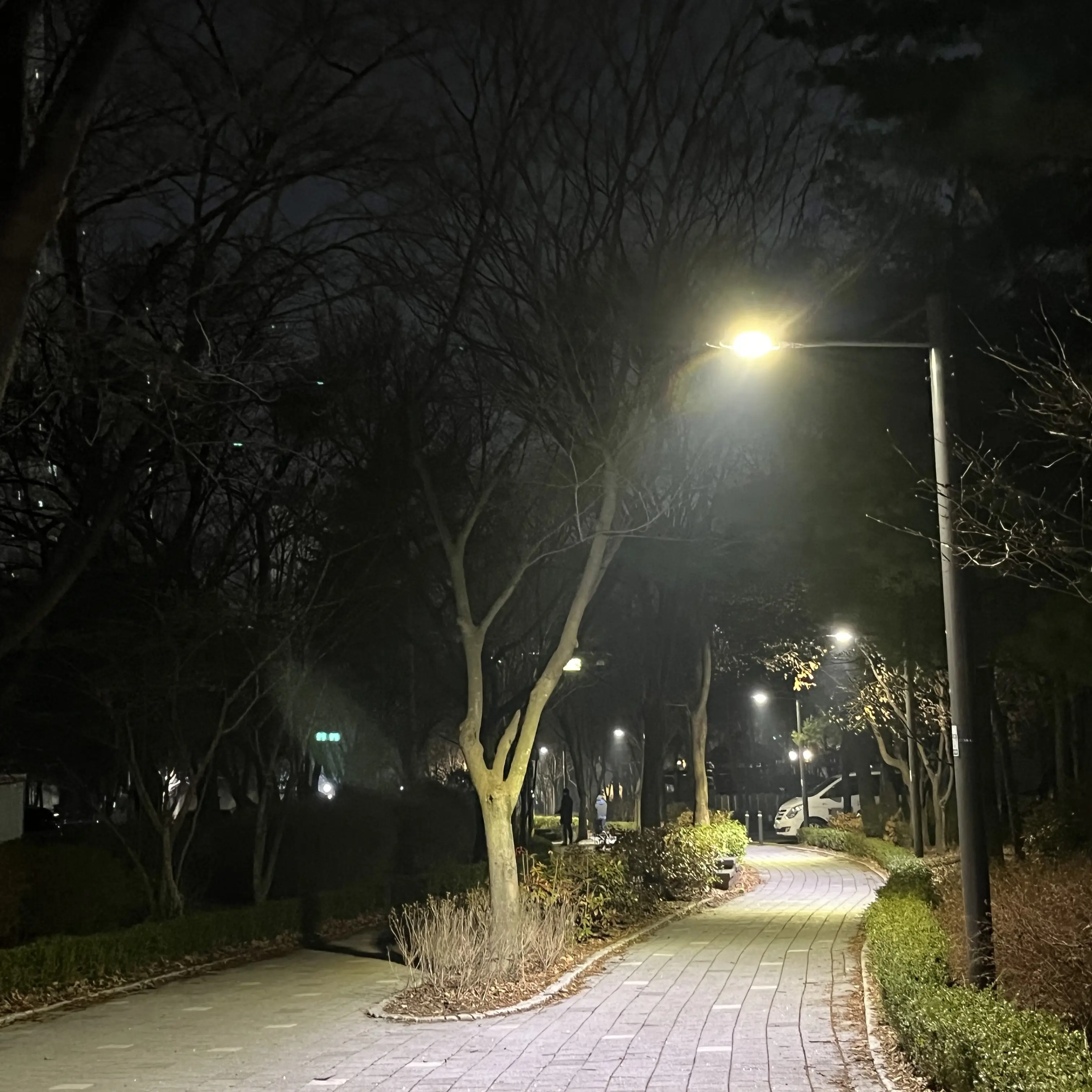 stray_stay의 한지성