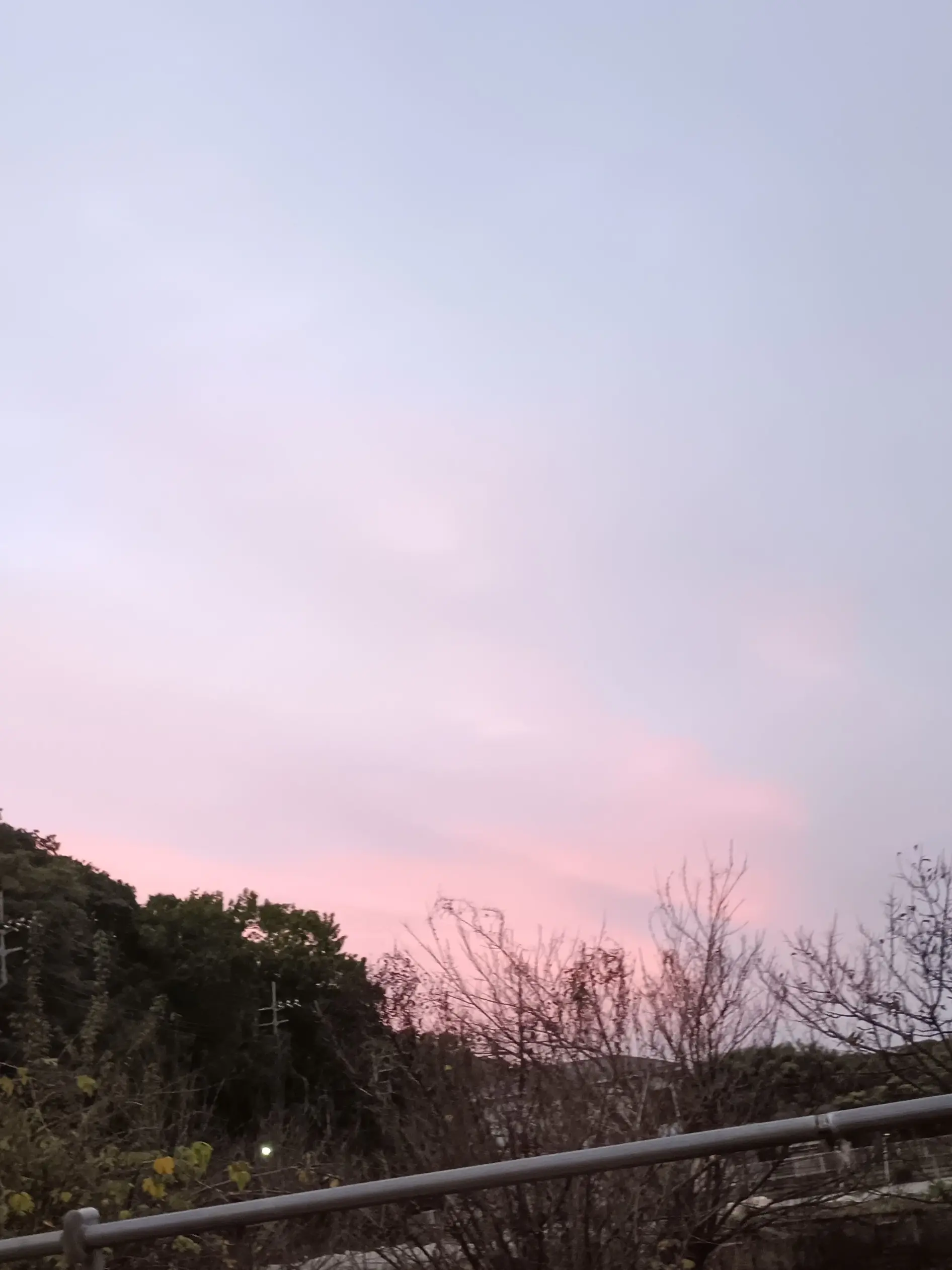 ItchyBloom0568의 仲良し5人組