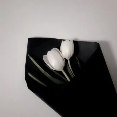 Profile image of 라더