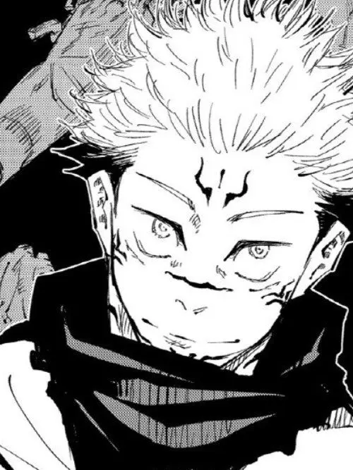 chsouu의 虎杖 悠仁 X 両 面宿儺