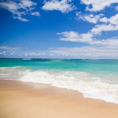 Profile image of 고세구