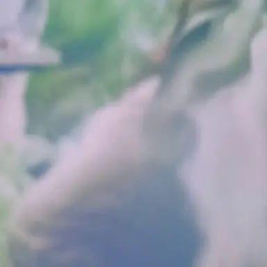 Profile image of 大田マネージャー
