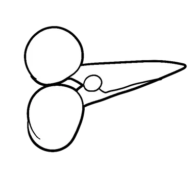 Profile image of 시져스