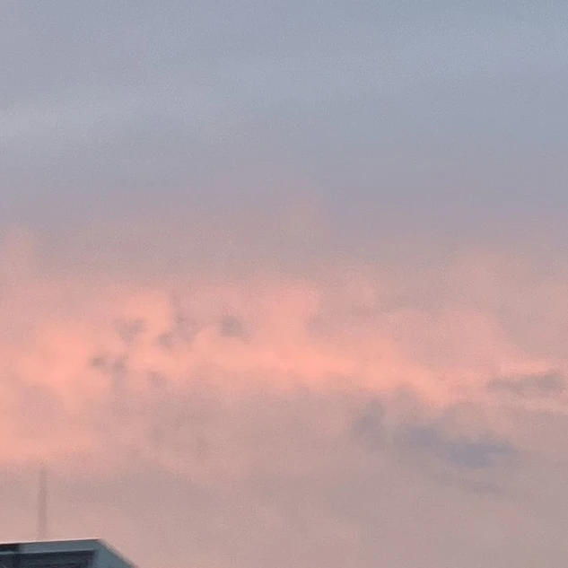 のり