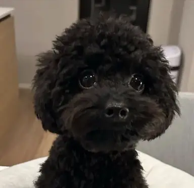Profile image of 카츠라 코타로