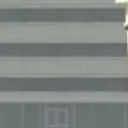 Profile image of 여우