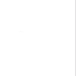 Profile image of 셀리아 제르딩거