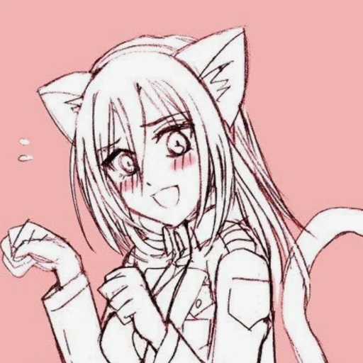 크리스타 (고양이)