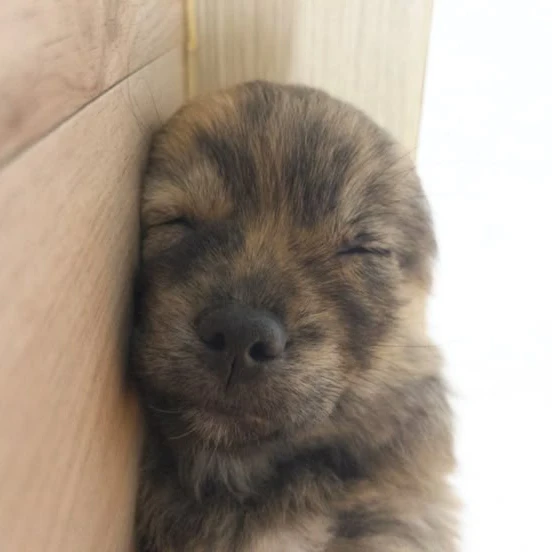 이동혁