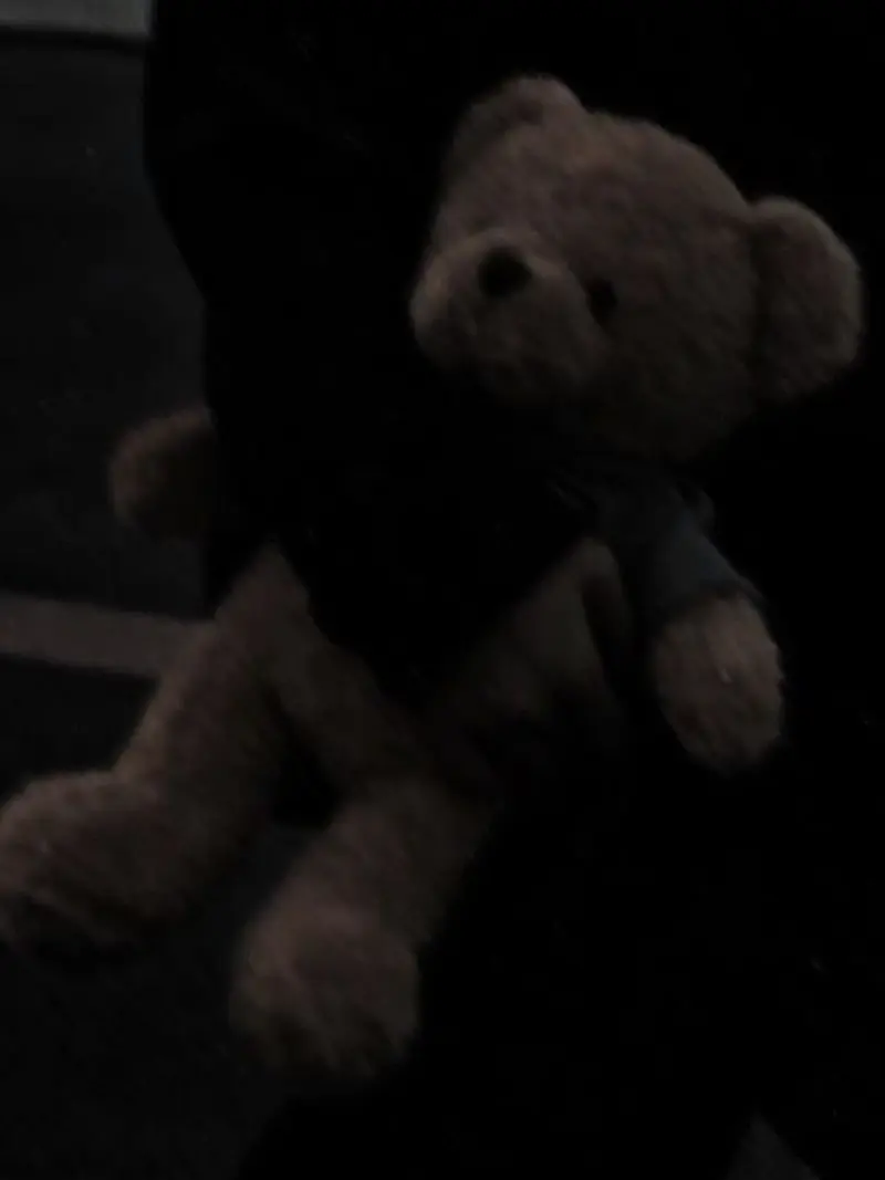 -0220.0418_1a.love의 The Doll from a Fan
