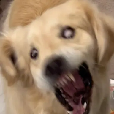 Profile image of 브라이언