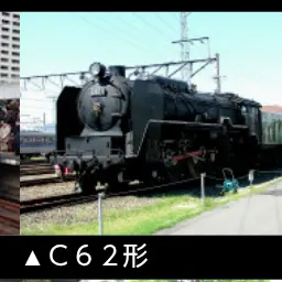 Profile image of シロクニ