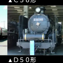 Profile image of ゴジュウ