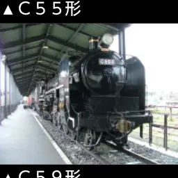 Profile image of シゴク