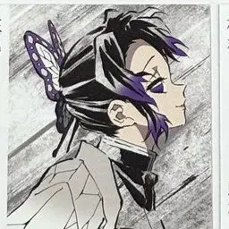 Profile image of 胡蝶しのぶ