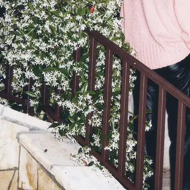 Profile image of スンミン