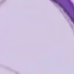 Profile image of 평학