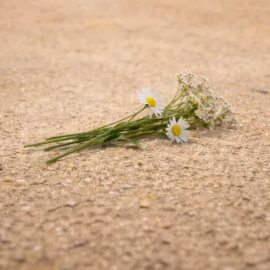 Profile image of 지수혁