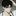 도서우