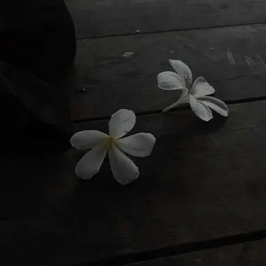 Profile image of 채수민