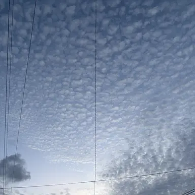 Profile image of 정태훈