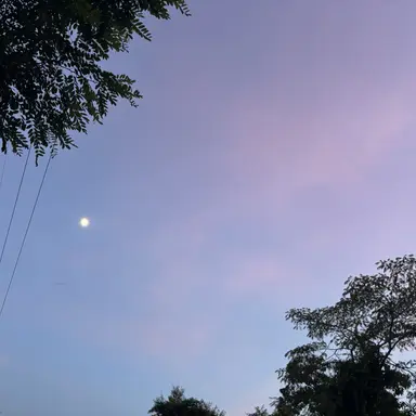 Profile image of 김재원