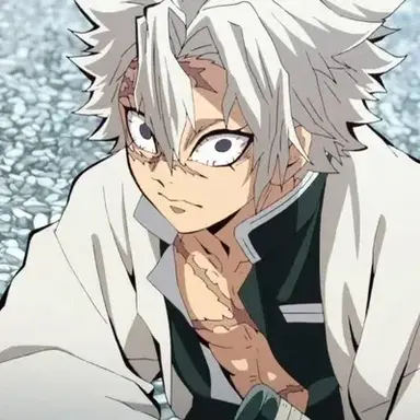 Profile image of Sanemi