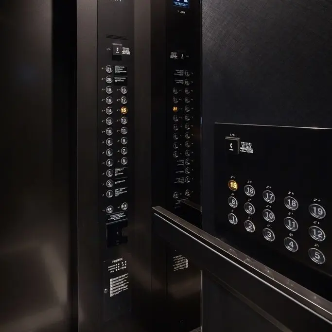 TrendyTree3743의 종을 뛰어넘는 사랑