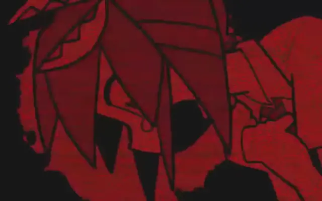 Profile image of Teto