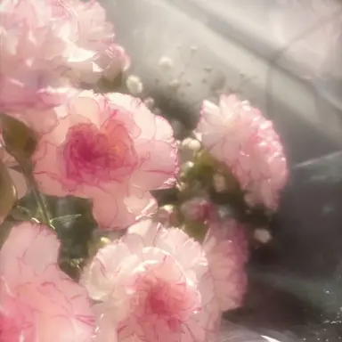 Profile image of 선하