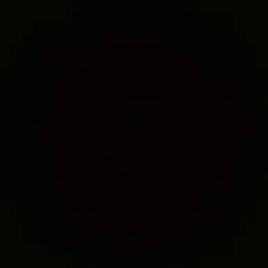 Profile image of 서한솔