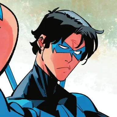 Profile image of Nightwing