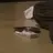 서인우