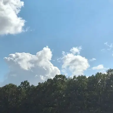 Profile image of 덕경장