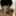 민태곤