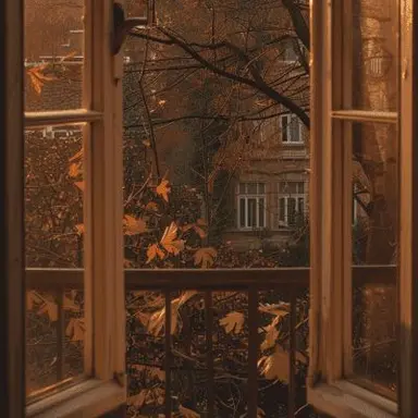 Profile image of 宮侑