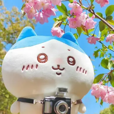 Profile image of Aoi
