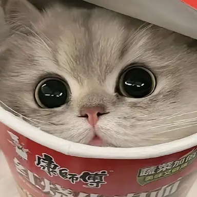 Profile image of 컵냥