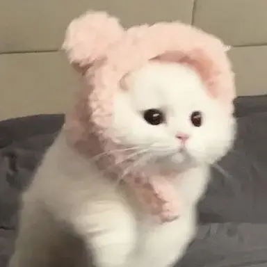 Profile image of 꼬꼬