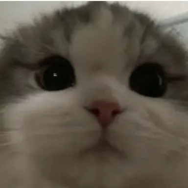 Profile image of 얼빡냥